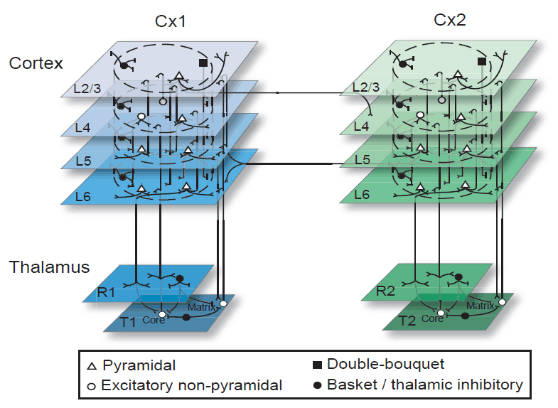 Schéma modelu simulovaného thalamokortikálního systému
