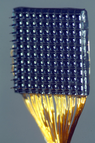 mikroelektrodové pole